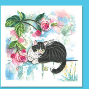 an-58-black-cat-flower