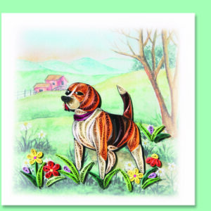an-65-labrado-dog