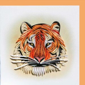 an6-42-tiger-face