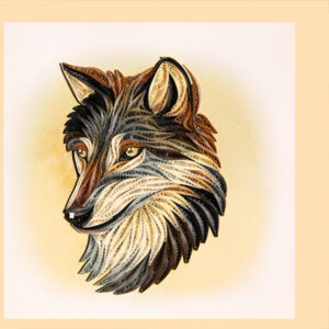 an6-47-coyote-head
