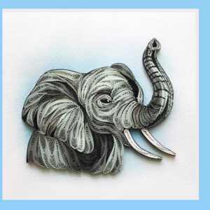 an6-48-elephan-head