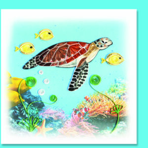 bc-41-sea-turtle