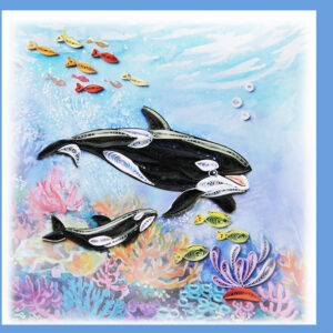 bc-59-killer-whale