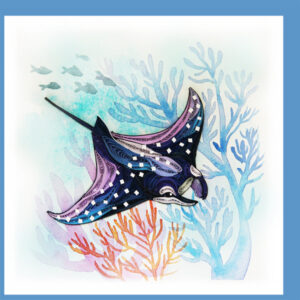 bc-61-sting-ray
