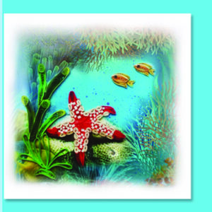 bc6-42-starfish