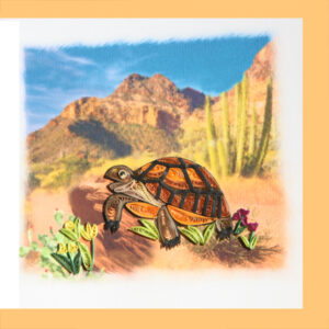 dw-36-desert-tortoise