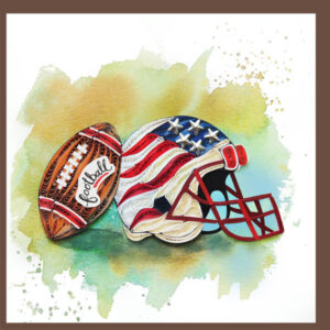 ev-32-america foodball hamet