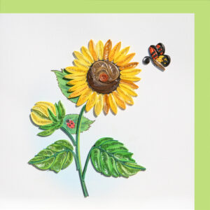 fl-33-sunflower