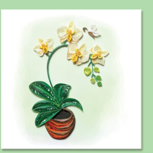 fl-36-orchid flower