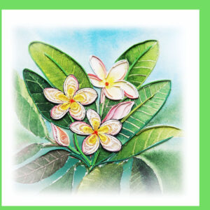 fl-50-plumeria flower