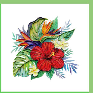 fl-51-hibiscus
