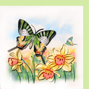 ic-27-malachite-green-butterfly