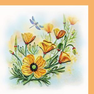 California Poppy FL-