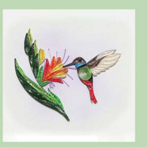wn-11-humming-bird