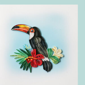 wn-29-toucan