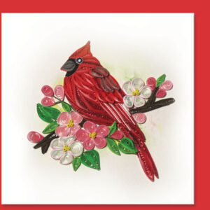 wn-35-red-cardinal
