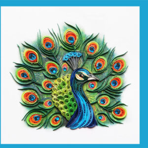 wn-37-peacock-face