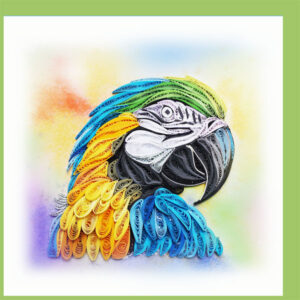 wn-44-macaw-parrot