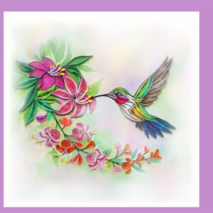 wn-51-hummingbird